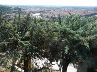 Blick auf Verona - Stadt an der Etsch.
