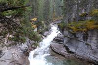 Jasper Nationalpark - Maligne Canyon
