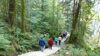 Wanderung im Küstenregenwald