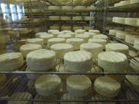 In der Käserei Gaugry