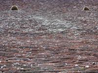 Speicherdach im Clos Vougeot