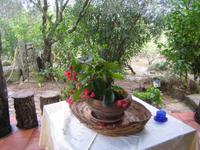 Stilleben im Agriturismo 