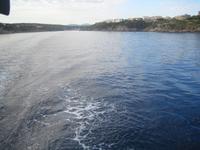 hinaus auf die See 