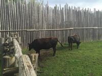 090 Sainte-Marie-among-the-Hurons