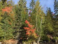 130 Kanutour im Algonquin Park