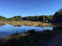 170 Algonquin Park - Holzfällermuseum