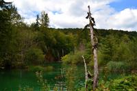 039 Nationalpark Plitvicer Seen