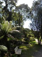 086.Strahan-Bootsfahrt-Sarah Insel