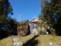 112.Cradle Mountain NP-Waldheim