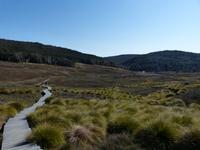 120.Cradle Mountain NP