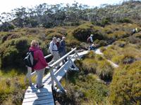 140.Cradle Mountain NP