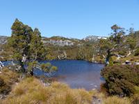 141.Cradle Mountain NP