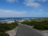 192.Seal Bay-Kangaroo Island
