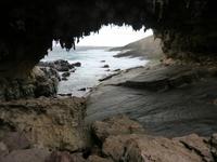 243.Admirals Arch-Kangaroo Island