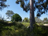 268.Kings Park-Perth