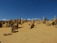321.Pinnacles-Nambung NP