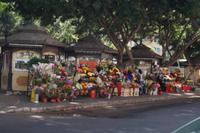 Blumenverkauf in Málaga 
