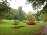 An den Blühenden Hecken