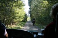Auf dem Weg in die Puszta
