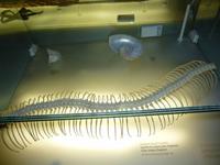 Casa Mila (La Pedrera), Museu Gaudí