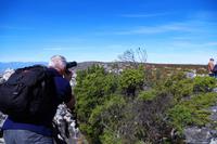 Tafelberg - bereits auf Pirsch