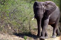 Wem hat er im Visier?