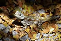 Mal was kleines für Zwischendurch 