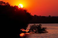 Sonnenuntergang auf dem Sambesi