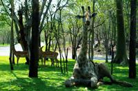 Fahrt zum Flughafen - Abshiedkomitee