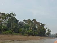 100-Bootsausflug_Lago_Janauaca