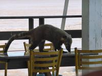 191-Parque_Nacional_Iguacu