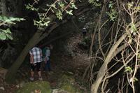 Wanderung in den Urwald auf Kreta