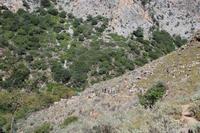 Reisegäste auf Wanderung nach Polirrinia