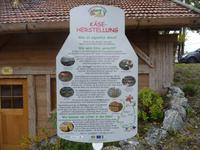 Wie wird Käse gemacht?   -   eine Anleitung.