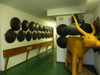 Schilde bestens verstaut.