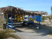 Kreta-Bananen bei Vai