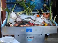 Fisch, dargeboten in Rethymnon