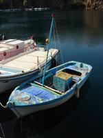 Im kleinen Teich in Agios Nikolaos