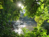 Giverny