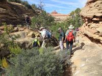 im Canyonland oberhalb des Lost Canyons
