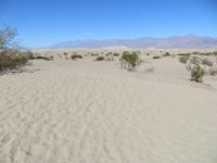 Death Valley, Dünen