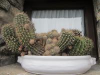 Ausflug Kloster Santa Caterina des Sasso