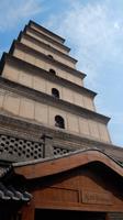 Xi'an, Wildganspagode