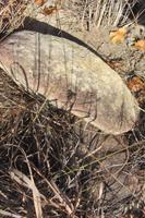 Wanderung im Isalo-Nationalpark