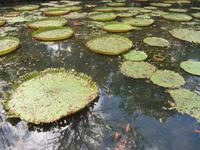 Botanischer Garten