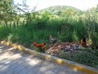Huatulco