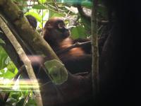 Puntarenas