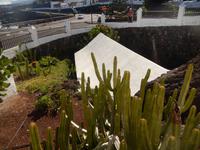 Garachico - von Lava verschüttetes Haus