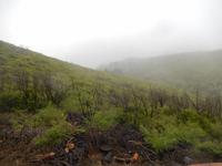 Mirador Iguarelo - La Gomera