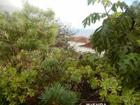 Hoyo de Mazo - La Palma